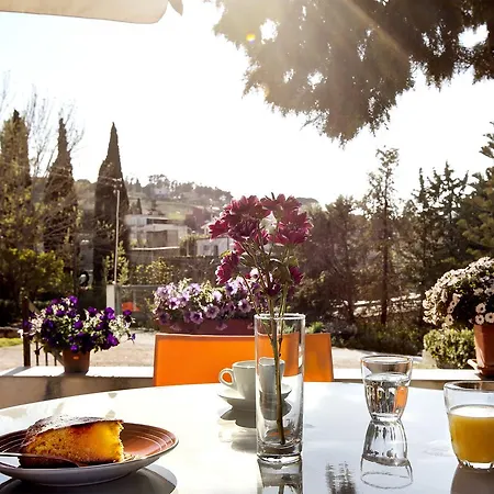 Hotel Terra Degli Elimi 3*